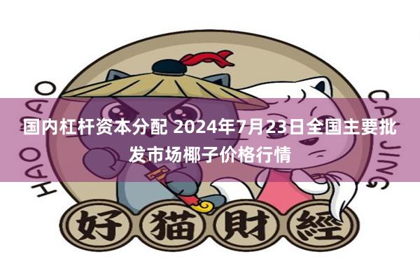 国内杠杆资本分配 2024年7月23日全国主要批发市场椰子价格行情