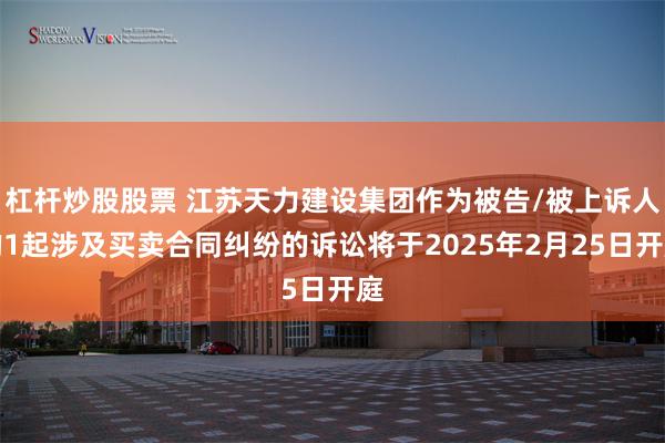 杠杆炒股股票 江苏天力建设集团作为被告/被上诉人的1起涉及买卖合同纠纷的诉讼将于2025年2月25日开庭