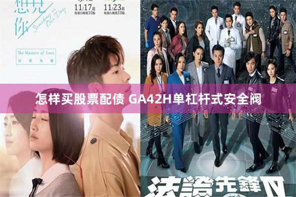 怎样买股票配债 GA42H单杠杆式安全阀
