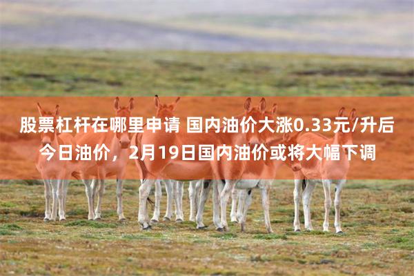 股票杠杆在哪里申请 国内油价大涨0.33元/升后今日油价，2月19日国内油价或将大幅下调
