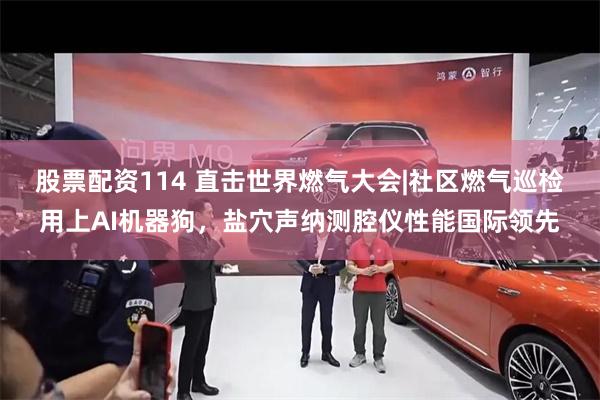 股票配资114 直击世界燃气大会|社区燃气巡检用上AI机器狗，盐穴声纳测腔仪性能国际领先