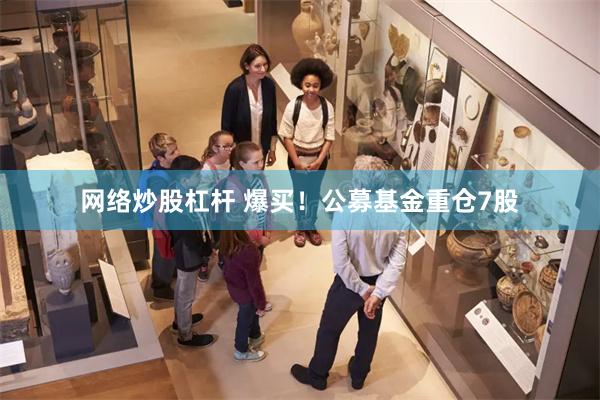 网络炒股杠杆 爆买！公募基金重仓7股