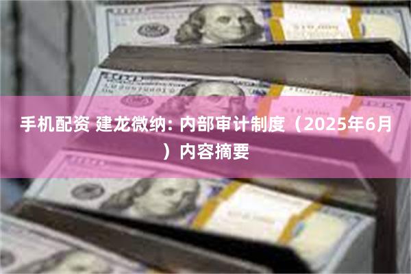 手机配资 建龙微纳: 内部审计制度（2025年6月）内容摘要