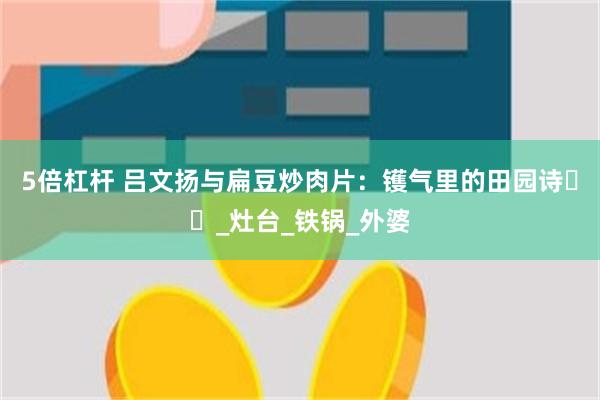 5倍杠杆 吕文扬与扁豆炒肉片：镬气里的田园诗​​_灶台_铁锅_外婆