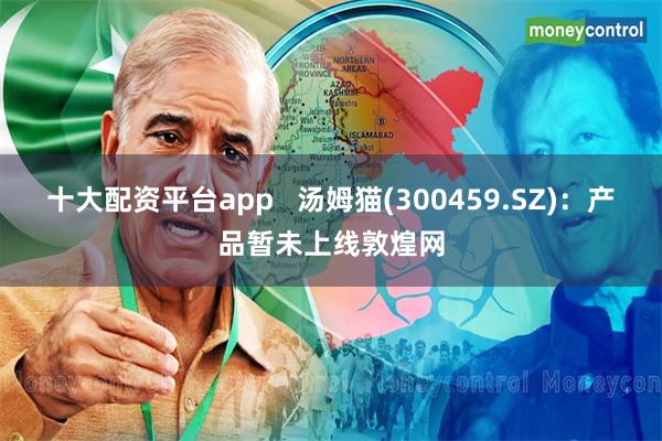 十大配资平台app   汤姆猫(300459.SZ)：产品暂未上线敦煌网