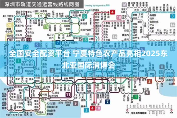 全国安全配资平台 宁夏特色农产品亮相2025东北亚国际消博会
